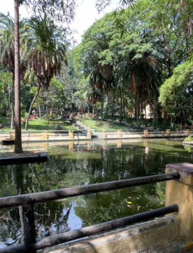 Parque da Água Branca
